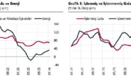 TCMB: Yıllık enflasyon temel mal ve enerjide yükseldi